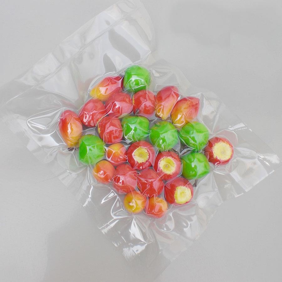 vacuum bag