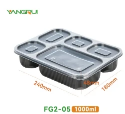 5 5 compartment food container