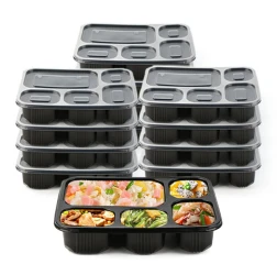 55555 5 compartment food container