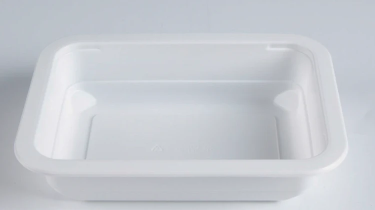 disposable lunch box
