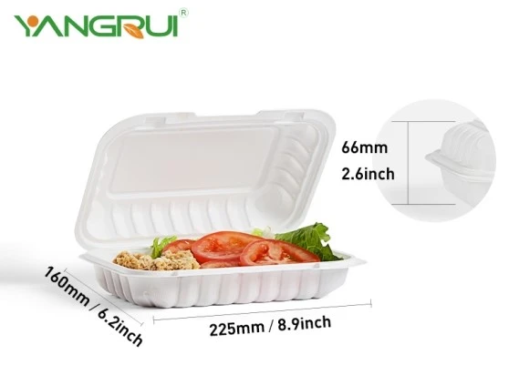  9x6 inch MFPP take out box