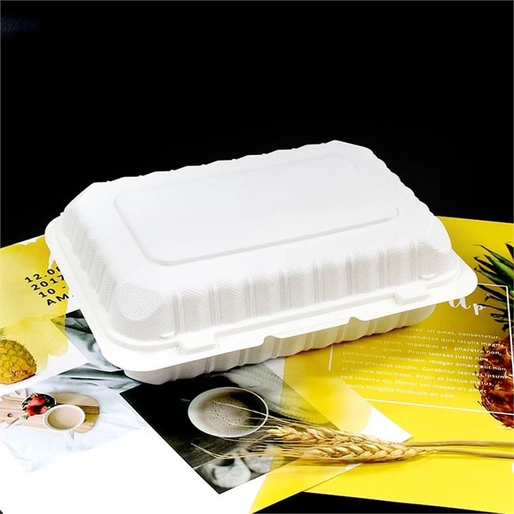 Best Selling Products Top Quality Biodegradable Disposable Plastic Takeaway Food Container