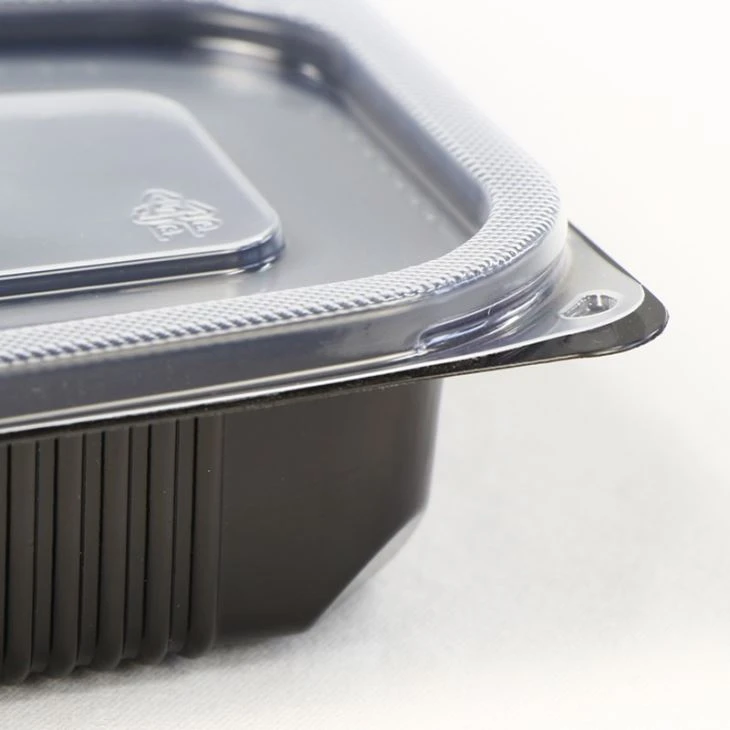 plastic take out food containers