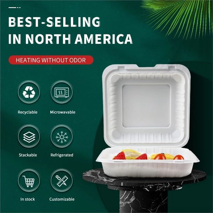 YR9581 America Hot Sale Disposable Take Out Clamshell Food Container Microwavable Hinged Lunch Box