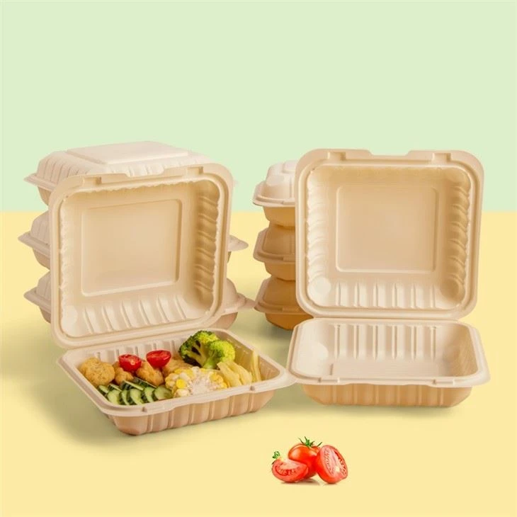Hinged To-go Corn Starch Food Container 9x9inch