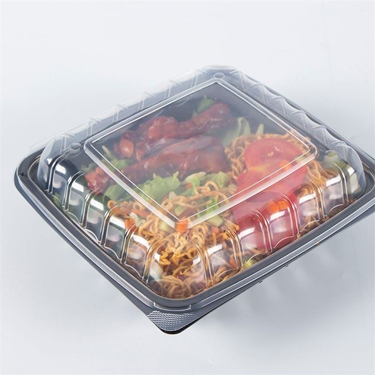 Disposable Containers