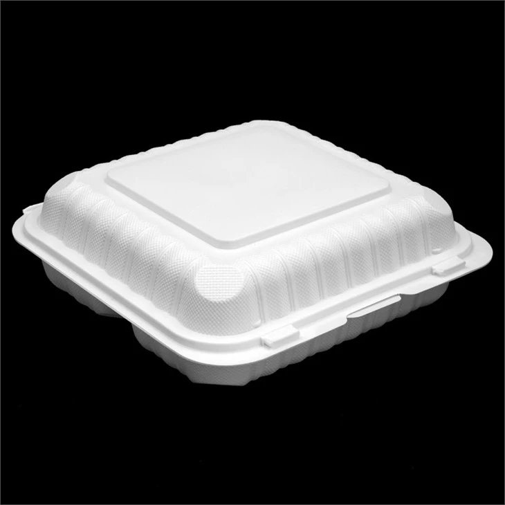 Plastic Takeaway Food Box