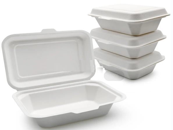 Bagasse To Go konteineri ar vākiem