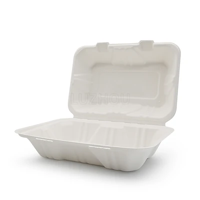 Uz Iet Konteineri Bagasse Eņģes