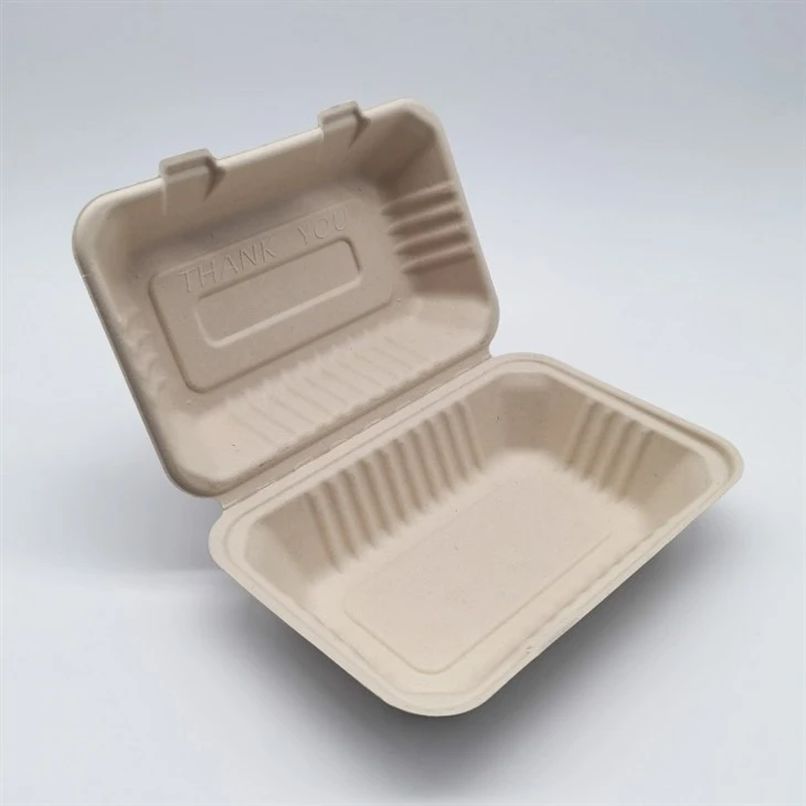 Sugarcane Bagasse Biodegradable Take Away Food Containers