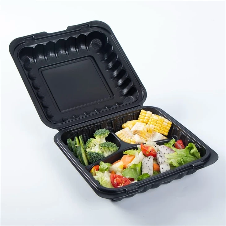 Takeou Food Box With Hinged Lid