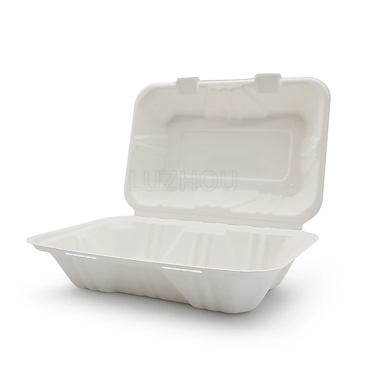 Uz Iet Konteineri Bagasse Eņģes