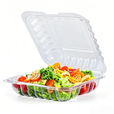 Plastmasas pārtikas konteineru pārstrādes izaicinājuma analīze: vides dilemma...