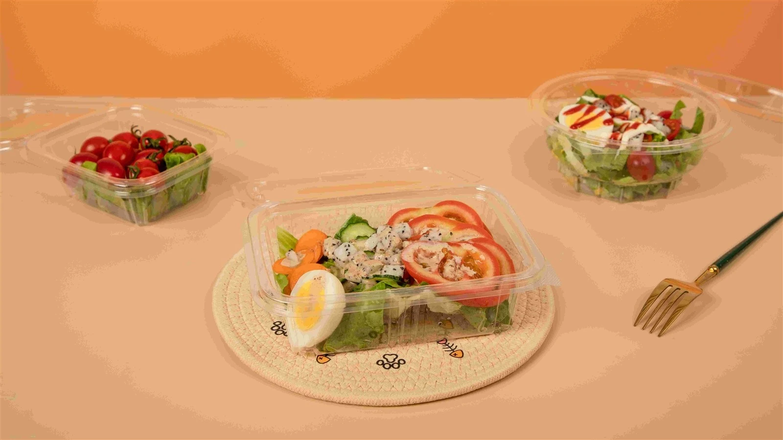disposable salad boxes