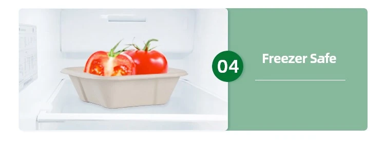 bento box bulk