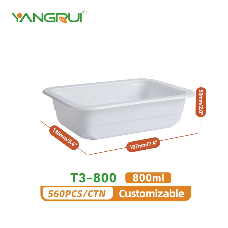 plastic food serving tray plastic food serving tray
