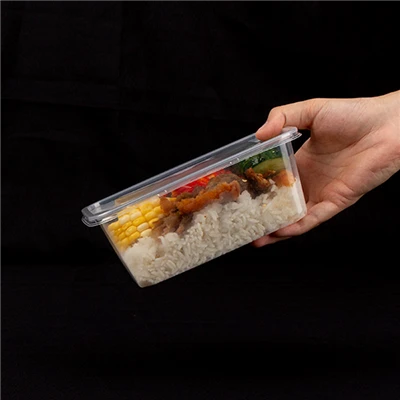 Clear Plastic Togo Containers